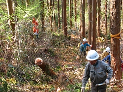 e0002820_13433976.jpg