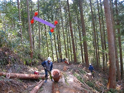 e0002820_13481049.jpg