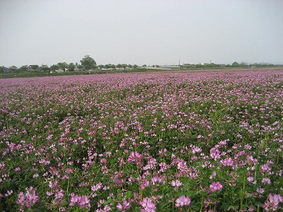 f0139520_21484514.jpg