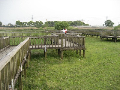 f0139520_2225287.jpg