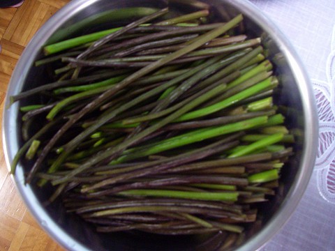 b0150023_20331871.jpg