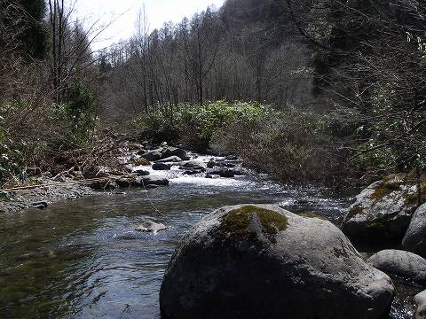 b0150023_20364731.jpg