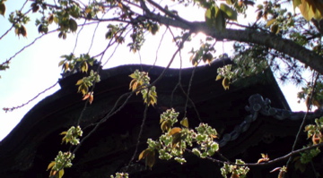 f0128723_0101823.jpg