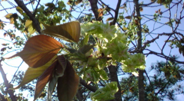 f0128723_0112376.jpg