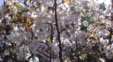 f0128723_0121676.jpg