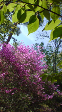 f0128723_015557.jpg