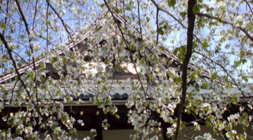 f0128723_0175365.jpg
