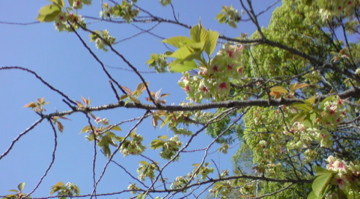 f0128723_091846.jpg