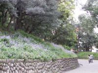 b0147224_17592285.jpg