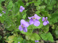 b0147224_1821851.jpg