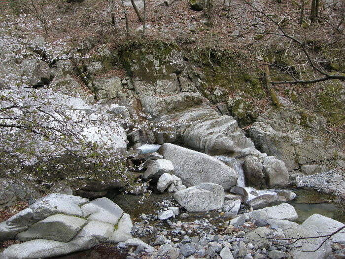 f0103126_21455486.jpg