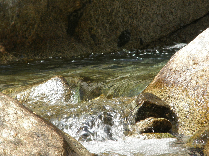 f0103126_21575192.jpg