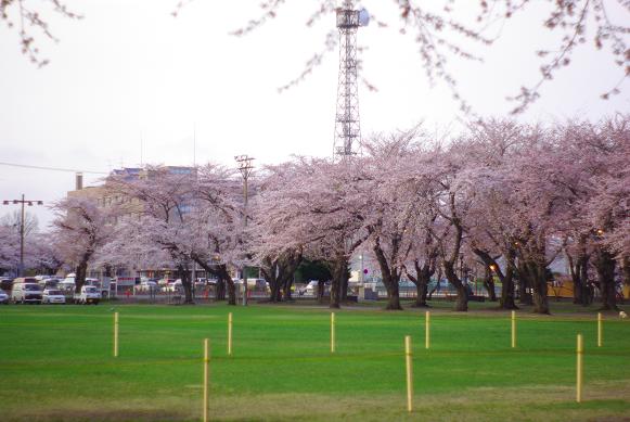 c0144427_21483690.jpg