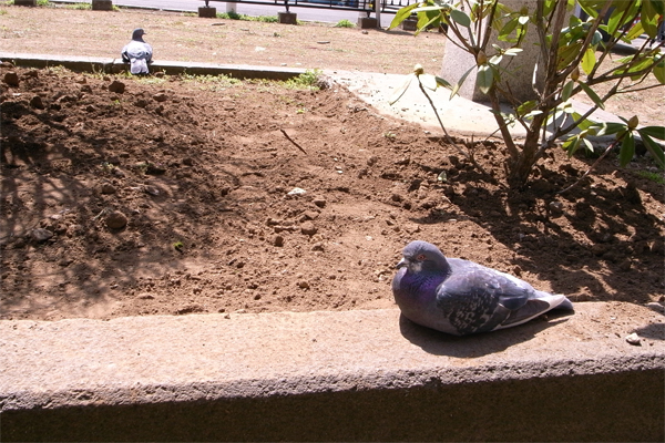 c0070528_124858.jpg