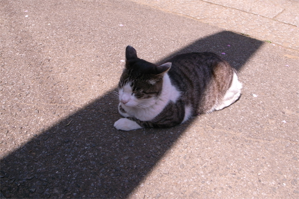 c0070528_13484.jpg