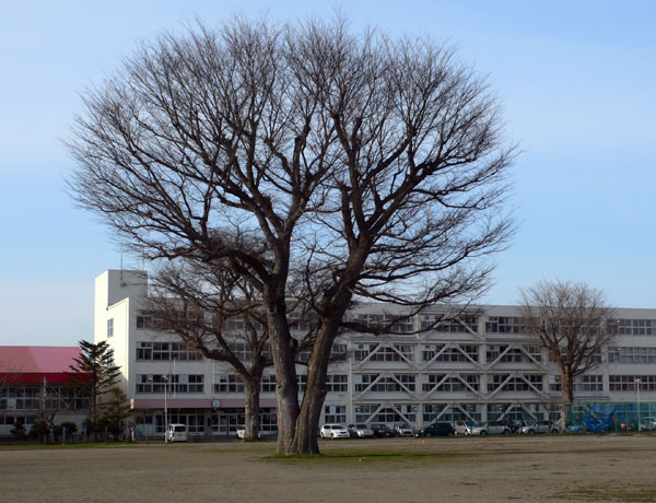 a0046429_17463589.jpg