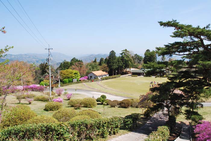 d0029829_0224941.jpg
