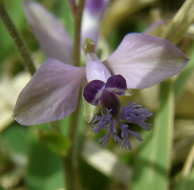 e0145033_9503524.jpg