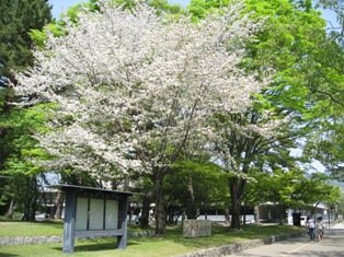 c0161034_215829.jpg