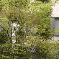 d0033734_12165713.gif