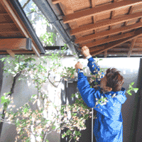 d0033734_14183538.gif