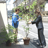 d0033734_1419010.gif