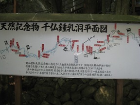c0077338_784528.jpg