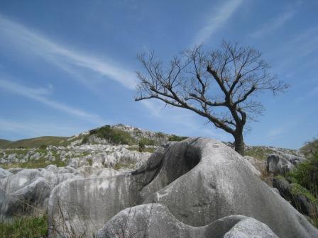 c0077338_78688.jpg