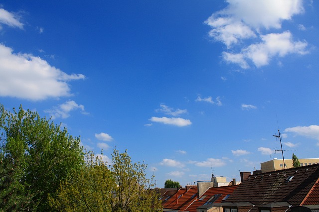 c0153740_6223044.jpg