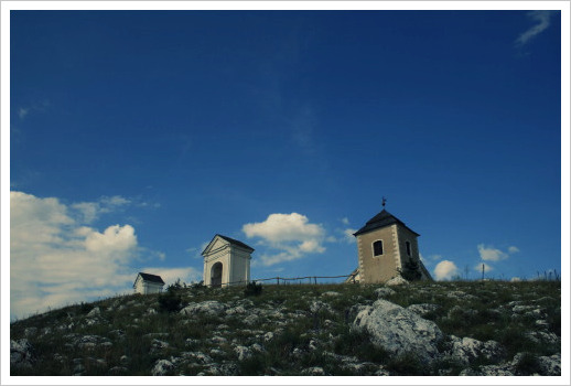 d0098941_2134760.jpg