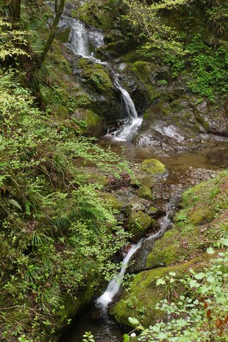 c0026142_21331260.jpg