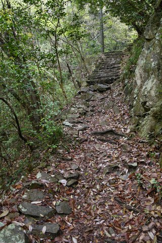 c0026142_21361754.jpg