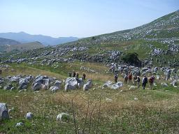e0164643_23575611.jpg