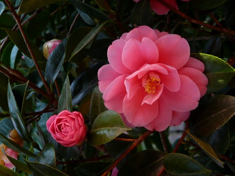 c0057946_174081.jpg