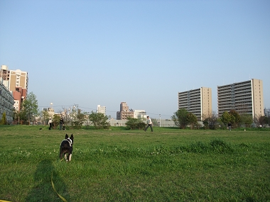 e0126046_23144484.jpg