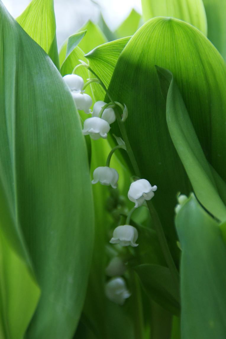 f0201348_0403393.jpg