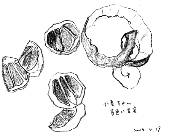 a0021649_145119.jpg