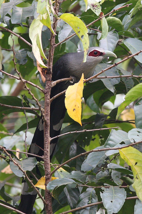 a0094850_2144324.jpg