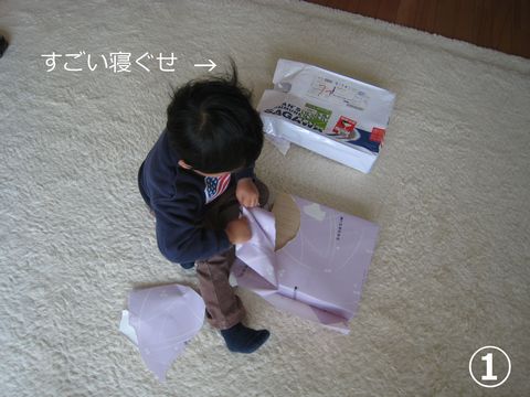 a0090451_2394625.jpg