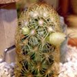 d0029958_20292682.jpg