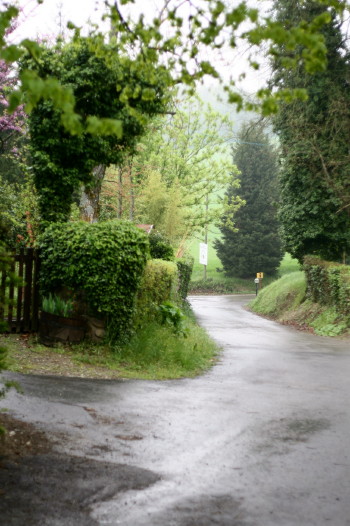 f0077159_0562197.jpg