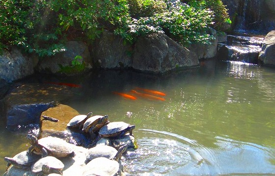 c0119160_20371429.jpg