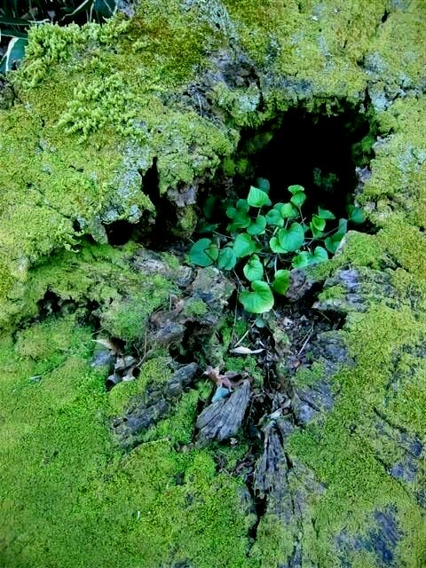 e0172160_23534363.jpg