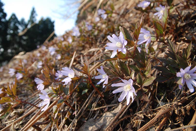 c0043361_1204345.jpg