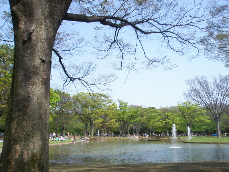 c0140561_021486.jpg