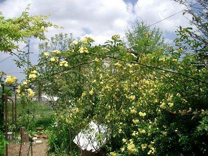 c0186463_187896.jpg