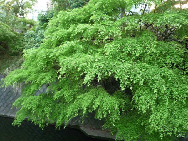 b0141664_2234428.jpg
