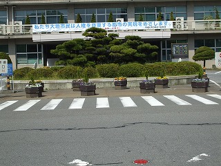 f0106664_6395896.jpg