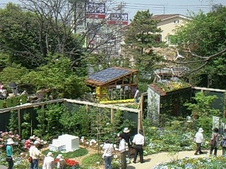 f0142668_4154918.jpg