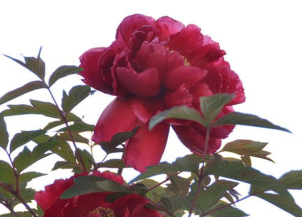 f0198771_052136.jpg